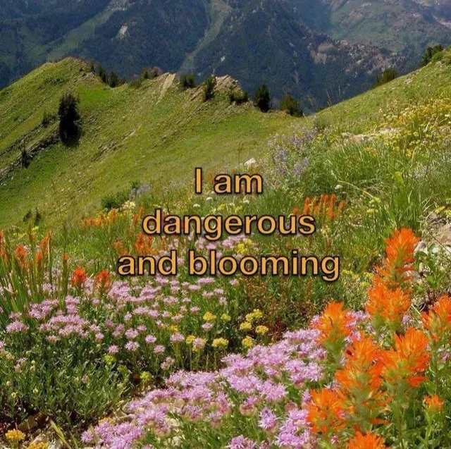 Saved meme, square image with blue, green, and orange tones