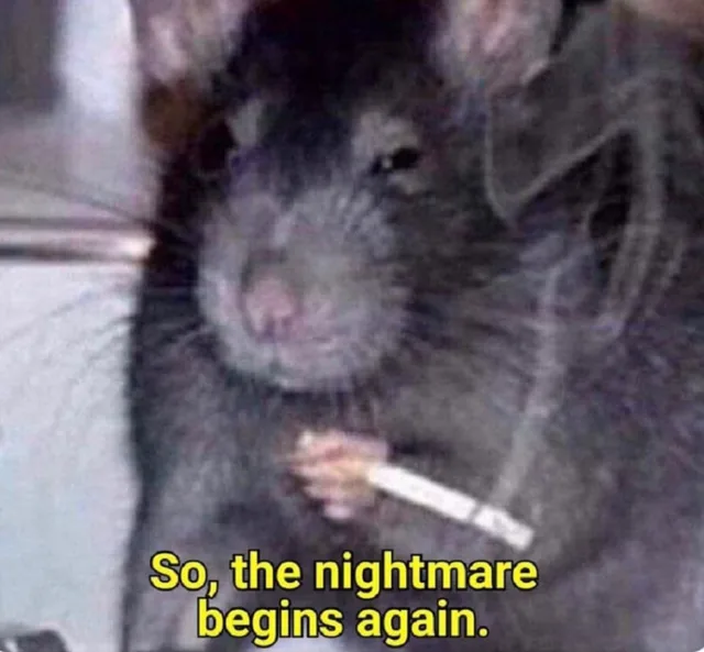 Saved meme, square image with gray, yellow, and purple tones