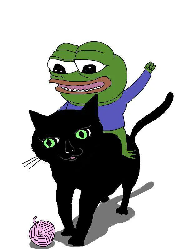 Pepe Cat