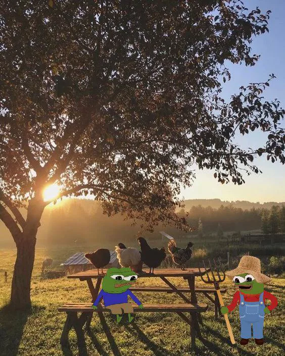 Pepe Chicken Farm Fren