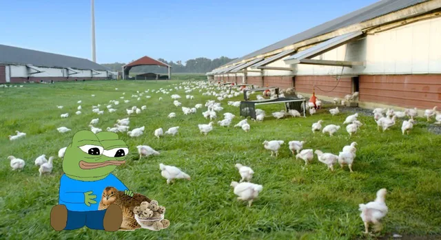 Pepe Chicken Farm