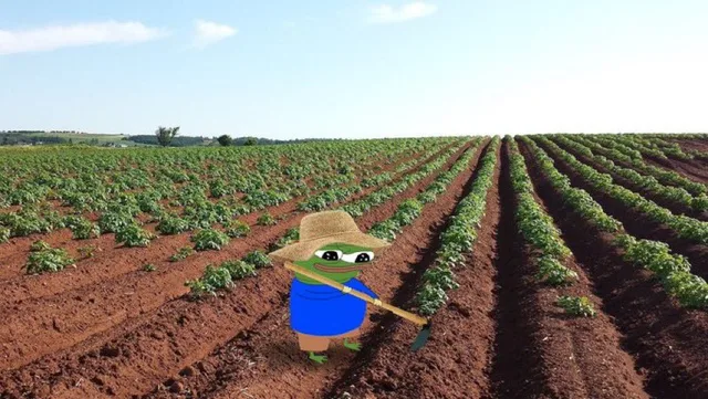 Pepe Farmoor