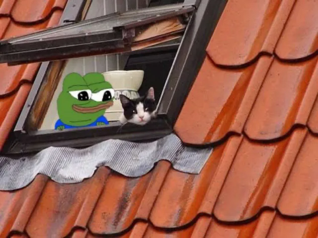 Pepe Happy Cat Mood