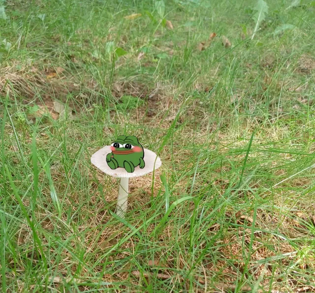 Pepe Mushroom Happy