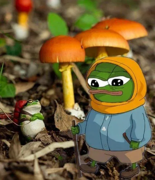 Pepe Mushroomexplorer