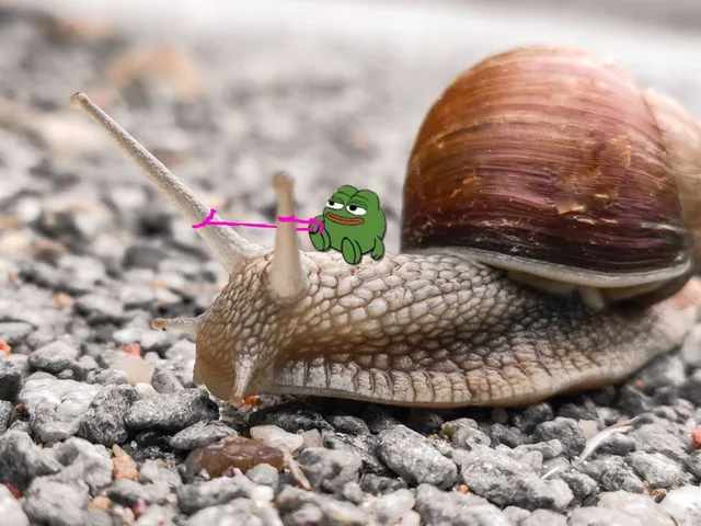 Pepe Snail Ride