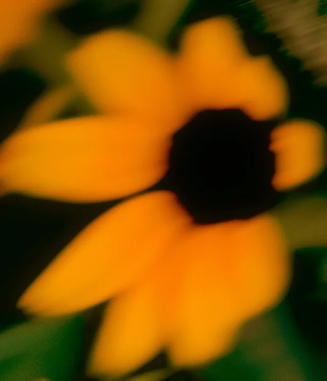Curated visual reference, portrait image with black and orange tones