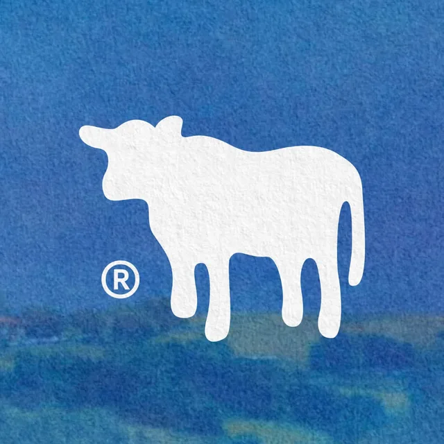 Curated visual reference, square image with white and blue tones