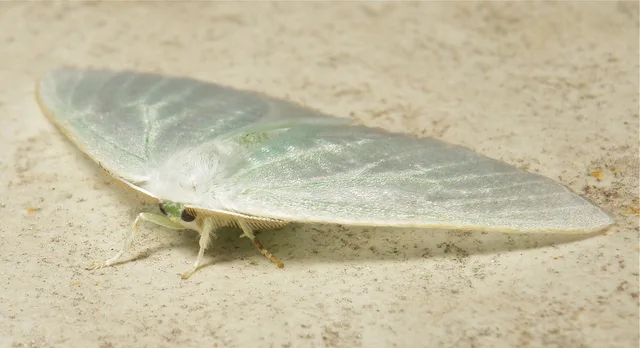 Curated visual reference, landscape image with yellow, gray, and orange tones